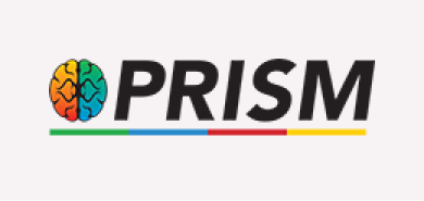 prism logo